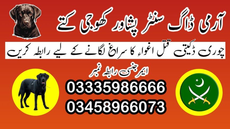Army Dog Center Peshawar 03018665280 ! Special Khoji Dogs Peshawar | Khoji Kutta Contact Us