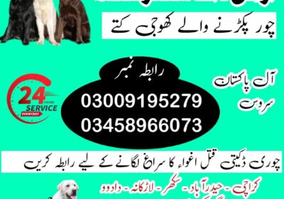 1bef0360-9990-440d-92cd-c13922ba97bd
