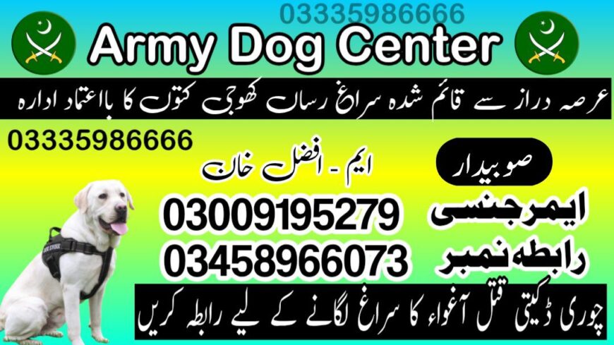 Army Dog Center Hyderabad Sindh Contact Number ! 03009195279