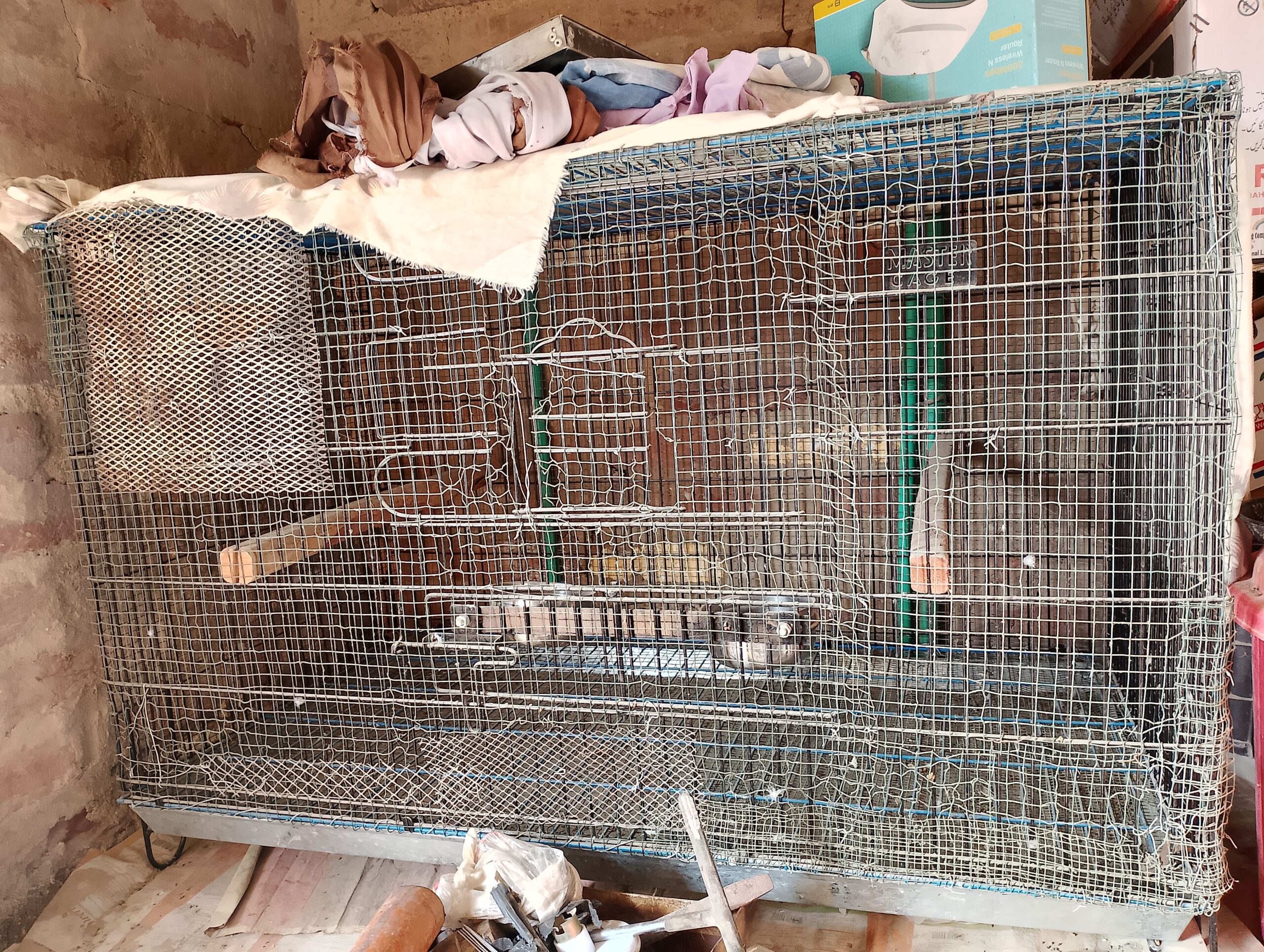 cage for sale