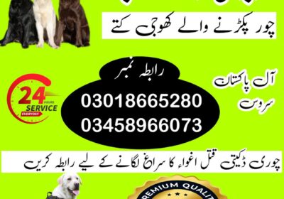 3b08eac7-d88f-43fb-bc00-8d987bda5203