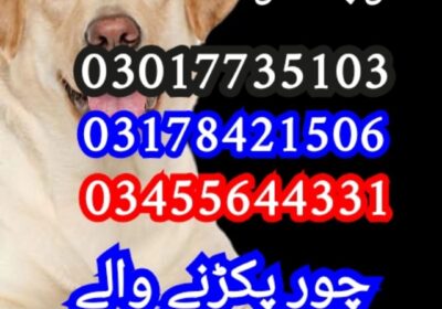 3b9fde3f-be1f-4de9-b95e-6aeb4893ace0