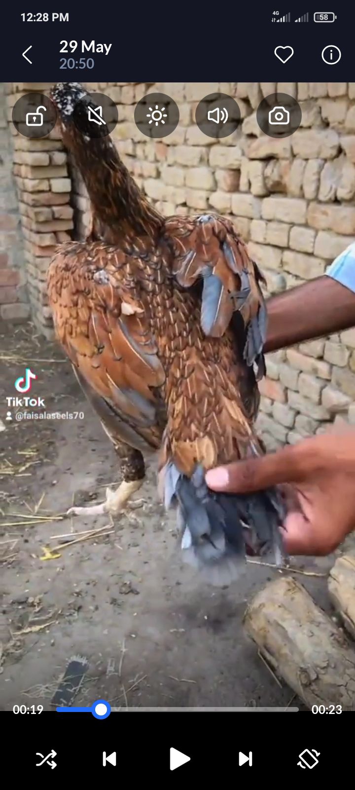 Kasni Madi nilay doray wali