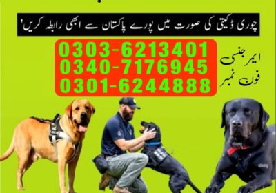 3ef46c11-fcc3-4fe3-b9bd-85d8093bcbc5