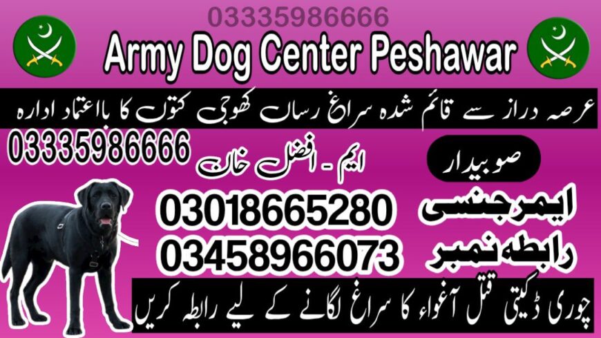 Army Dog Center Peshawar 03018665280 ! Special Khoji Dogs Peshawar | Khoji Kutta Contact Number
