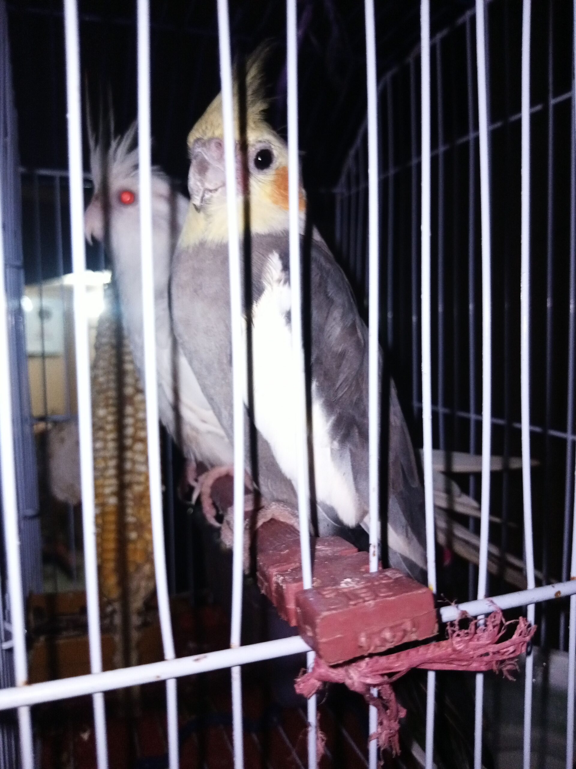 Cocktail Gray and withe colour For sale