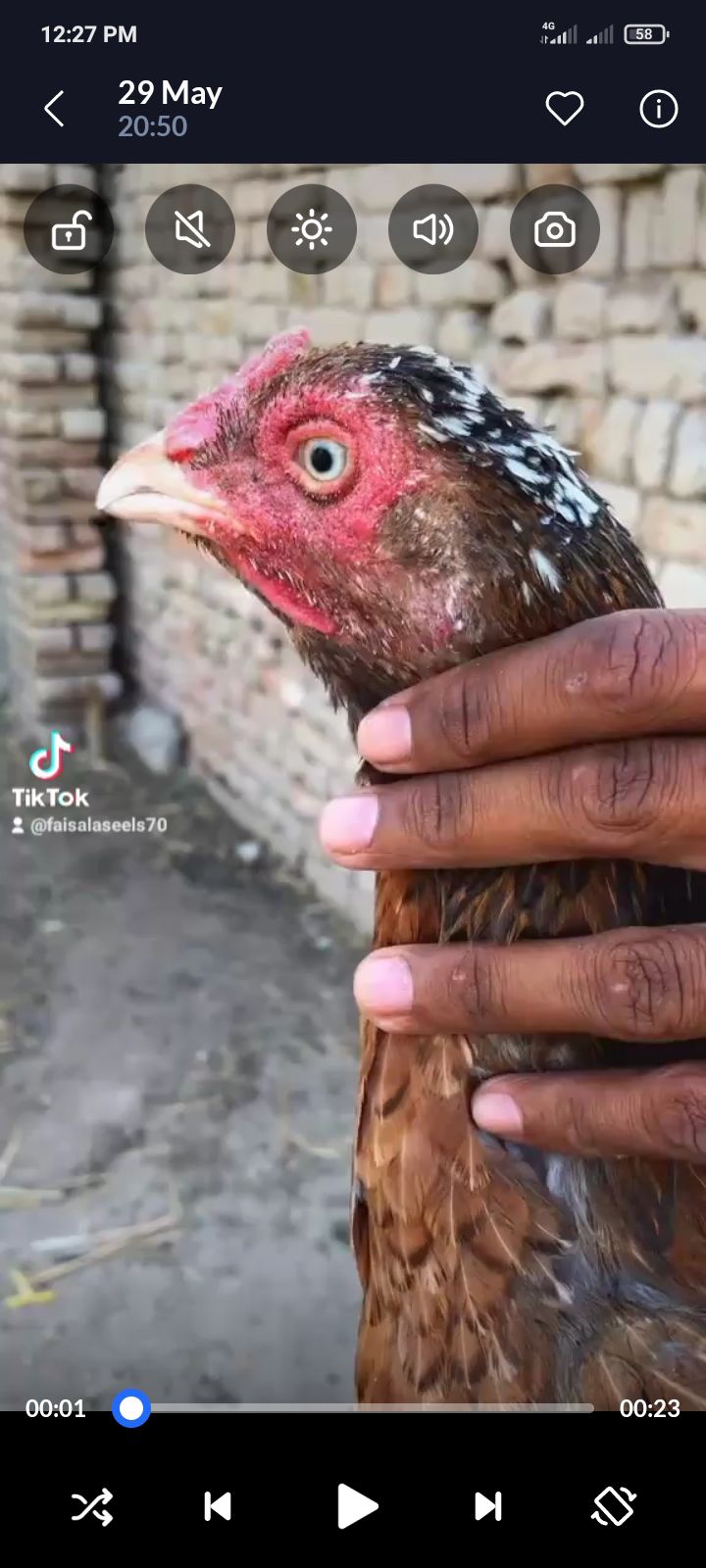 Kasni Madi nilay doray wali