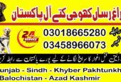 Khoji Dog Center Swabi Contact Number 03005373788 Army dogs centre Swabi
