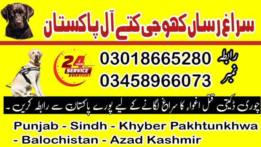 Khoji Dog Center Swabi Contact Number 03005373788 Army dogs centre Swabi