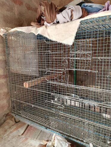 cage for sale