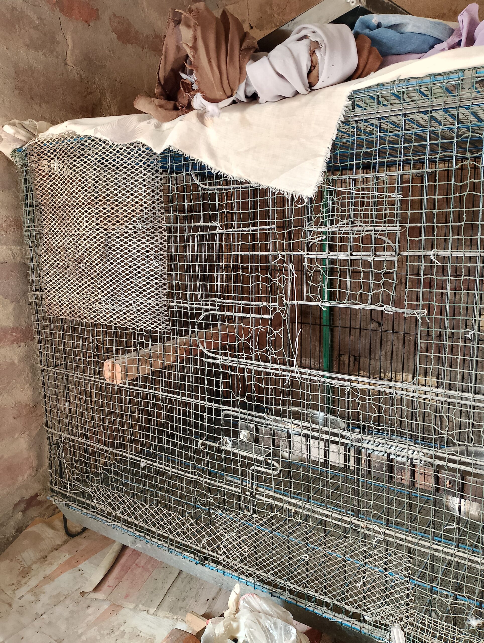 cage for sale