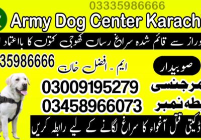 7d59a41b-6beb-47ab-bb9e-74ee71ee8edf