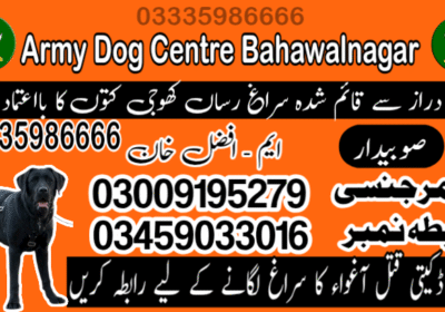 9e40eb04-2a25-492f-aa7a-89bae5040834