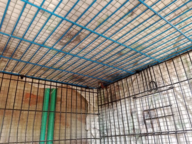 cage for sale
