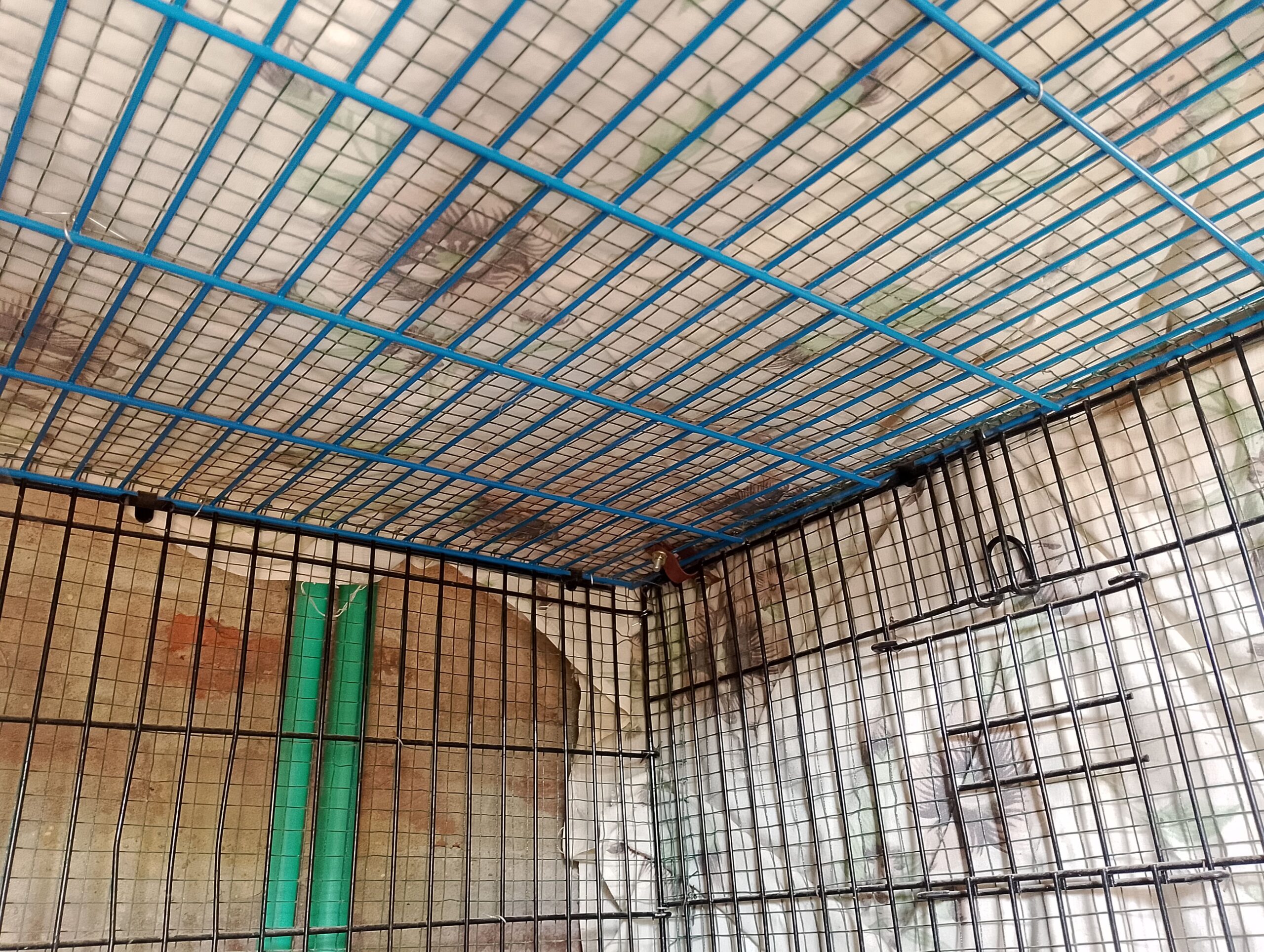 cage for sale