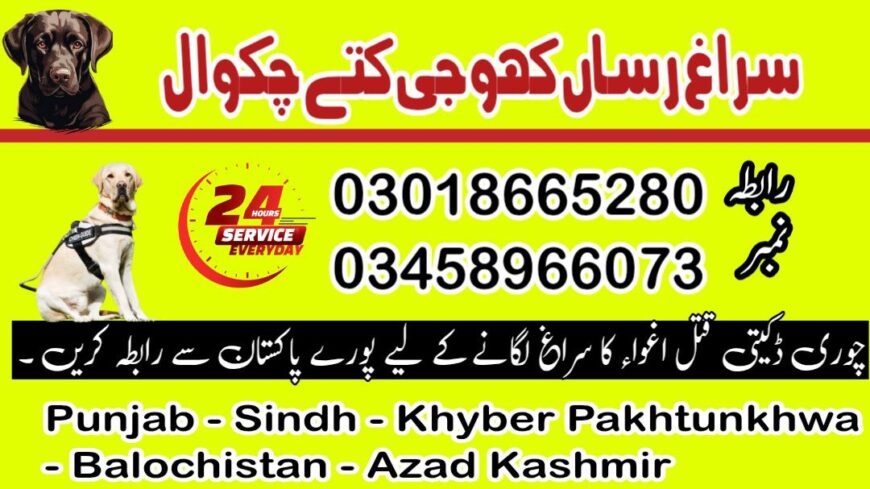 Army Dog Center Chakwal 03009780927 | Khoji Dog Center Chakwal Contact Number 03458966073