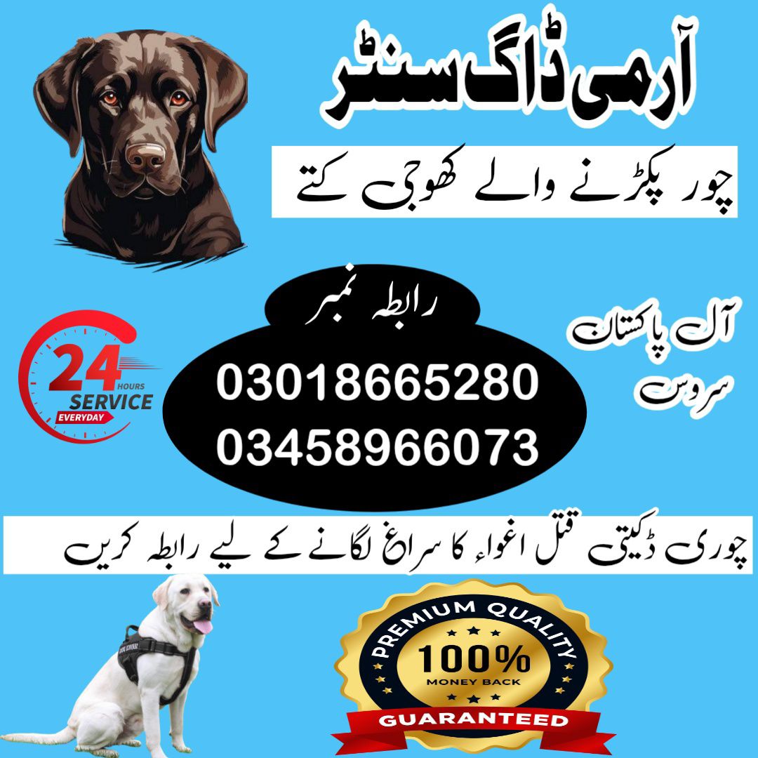 Army Dog Center Khanewal 03009195279 | Khoji Dogs In Khanewal