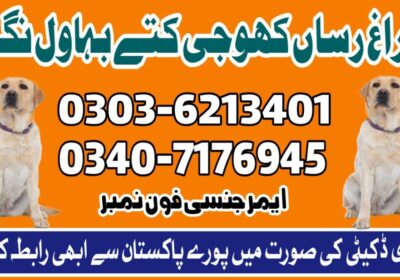 f387a985-80d8-4c93-8617-aa9fe6d9d771