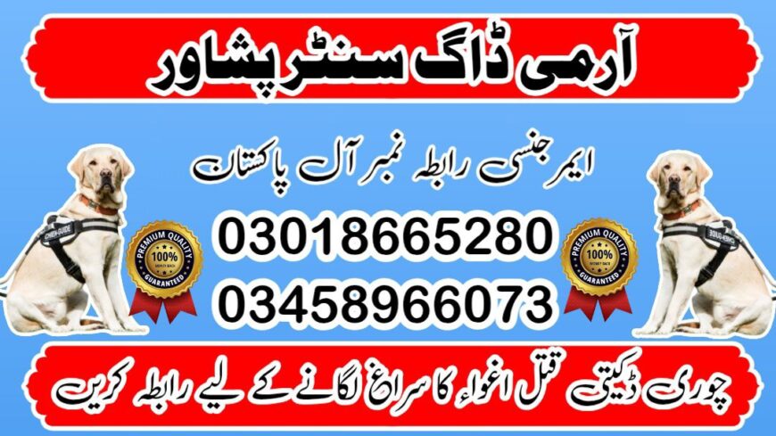Army Dog Center Peshawar 03018665280 ! Special Khoji Dogs Peshawar | Khoji Kutta Contact Us