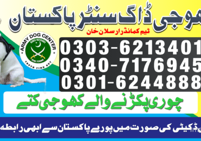 fb33e135-d58e-4b5d-8ef7-446c9ef22f21
