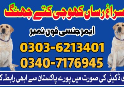 fbc98b4c-8b69-4948-bc37-2c2c6469c164