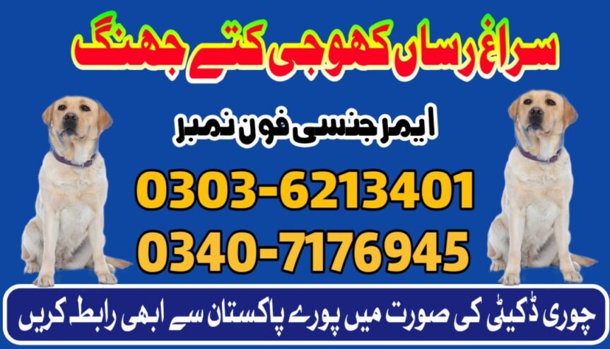 Army Dog Center Dadu Sindh 03016244888 ( Khoji Dogs Dadu Sindh service