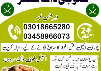 fd710c3b-9100-47e8-9bb8-01deb8b61b49