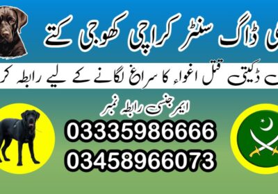 fe875b70-c11d-46a9-ab8d-00c5efd03466