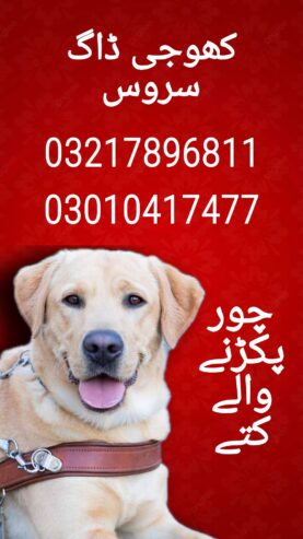 Army dog center 03217896811_03017735103