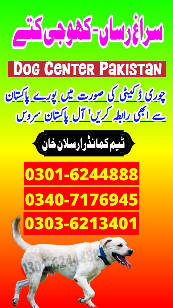 Army Dog Center Ghotki 03016244888 Khoji Dogs Ghotki Sindh