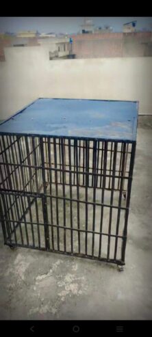Iron cage