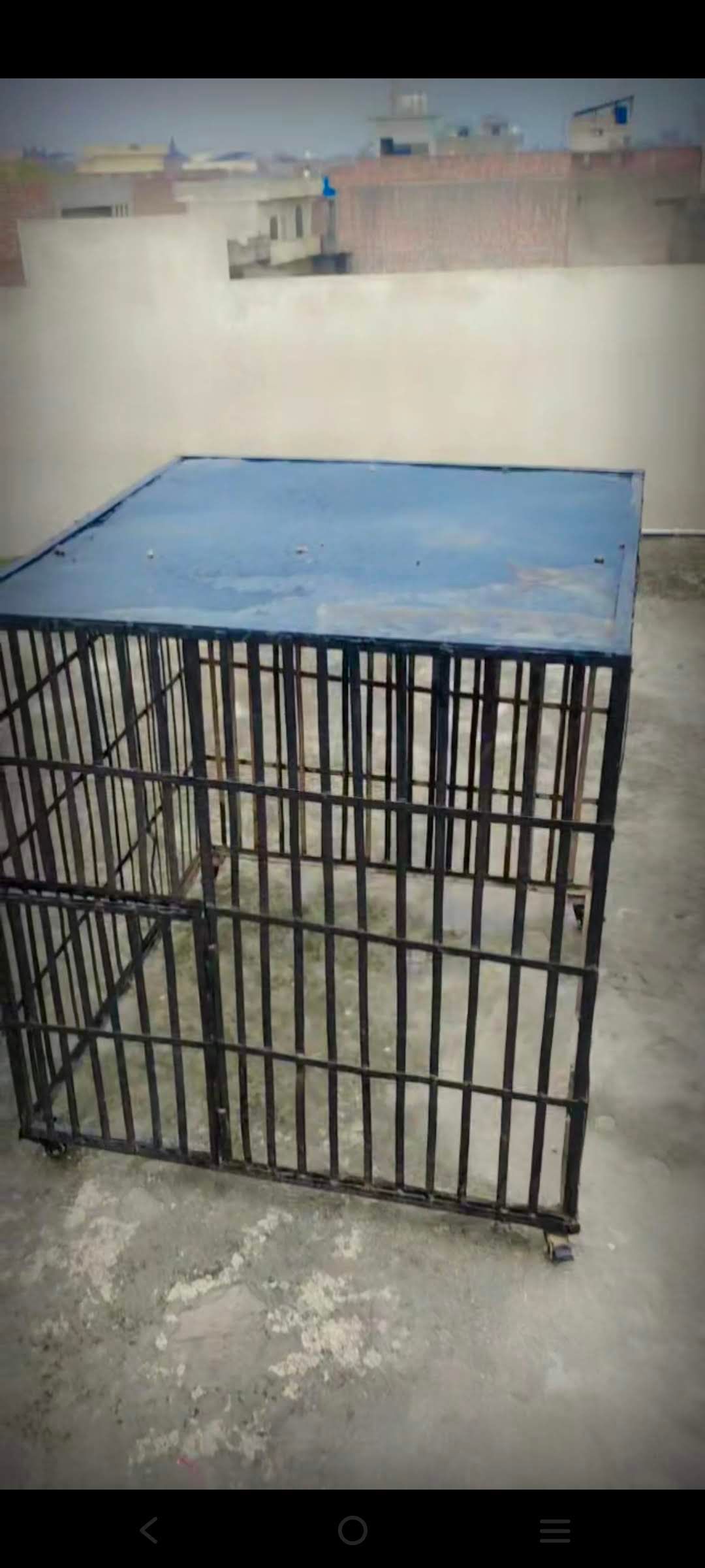 Iron cage