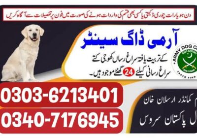 2bd0155a-77b2-469a-bfad-8beace976a16