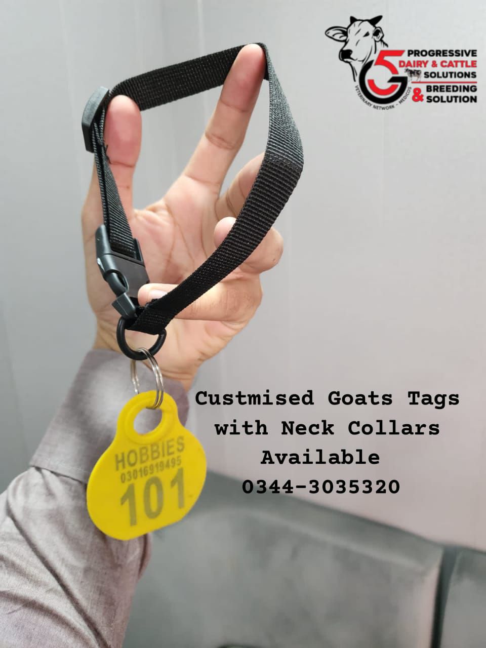 Sheep And Goats Neck Tags with belt