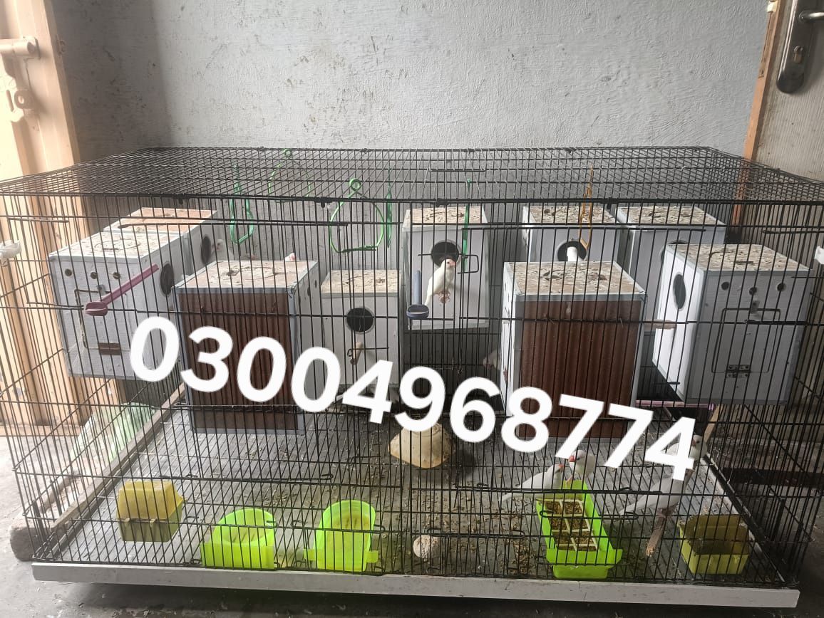 all setup sell