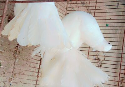 5d21d932-d9b2-4679-a61d-e33ac7697f06