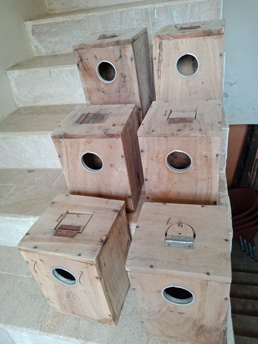 Boxes