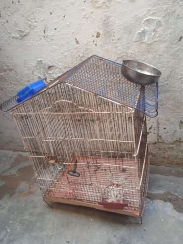 Cage