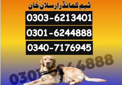 8ff2780c-c0d7-41ae-b232-4d1b60972de4