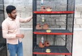 Birds cages