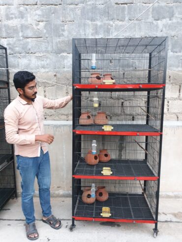 Birds cages
