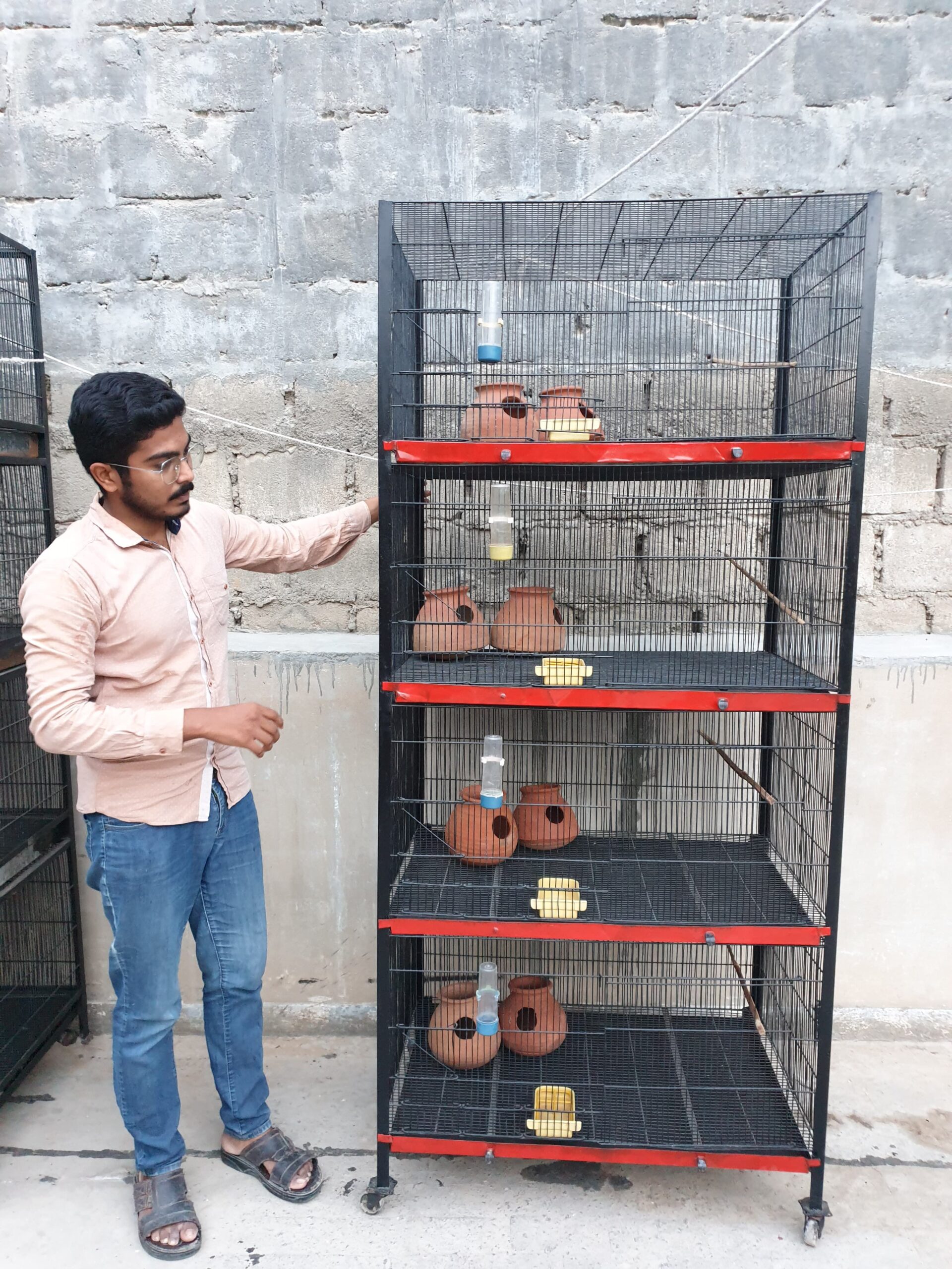 Birds cages