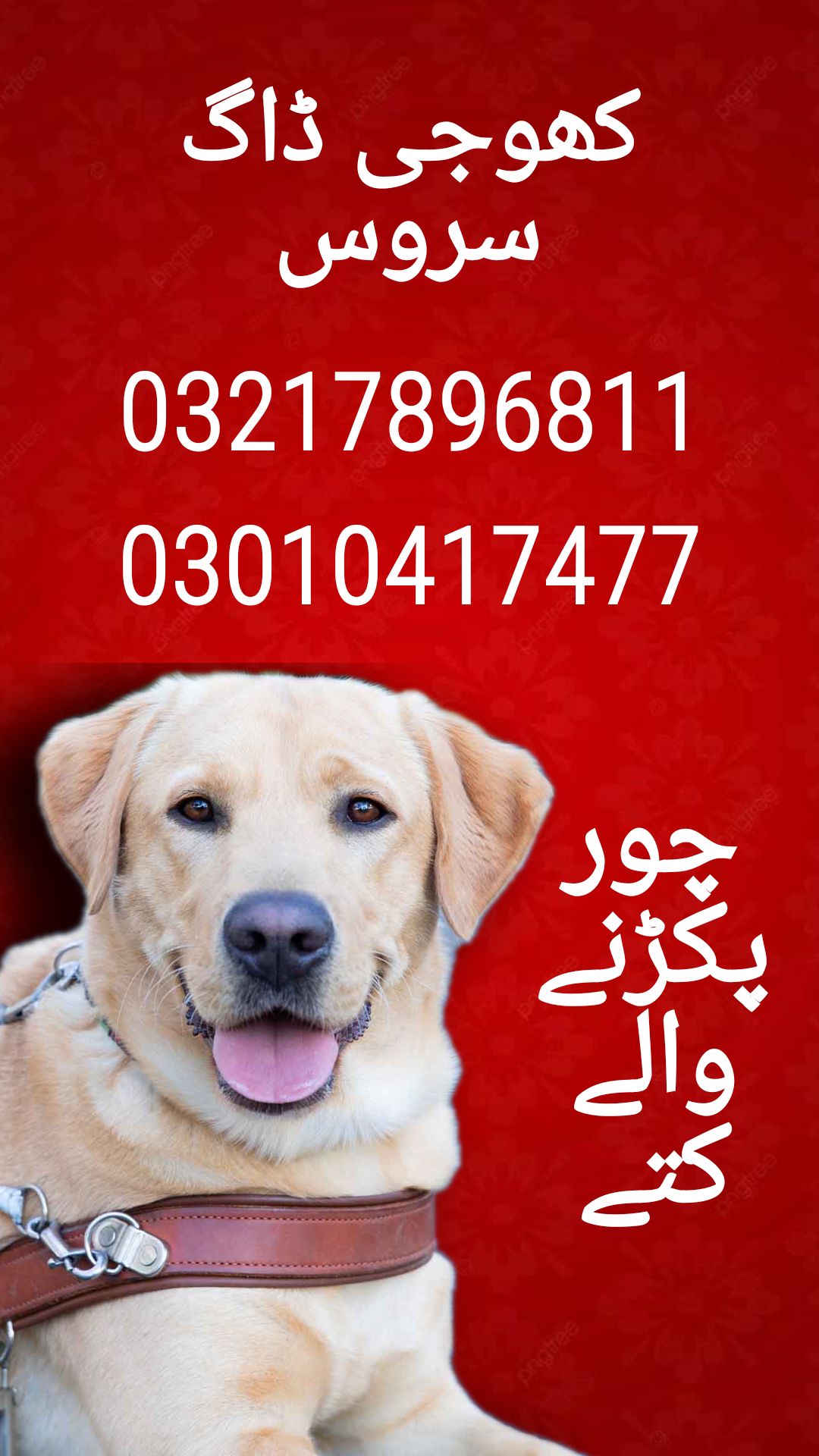 Army dog center sindh 03010417477