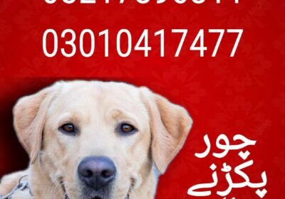 a0f31f04-9130-4279-8b6f-4a898ac7c261