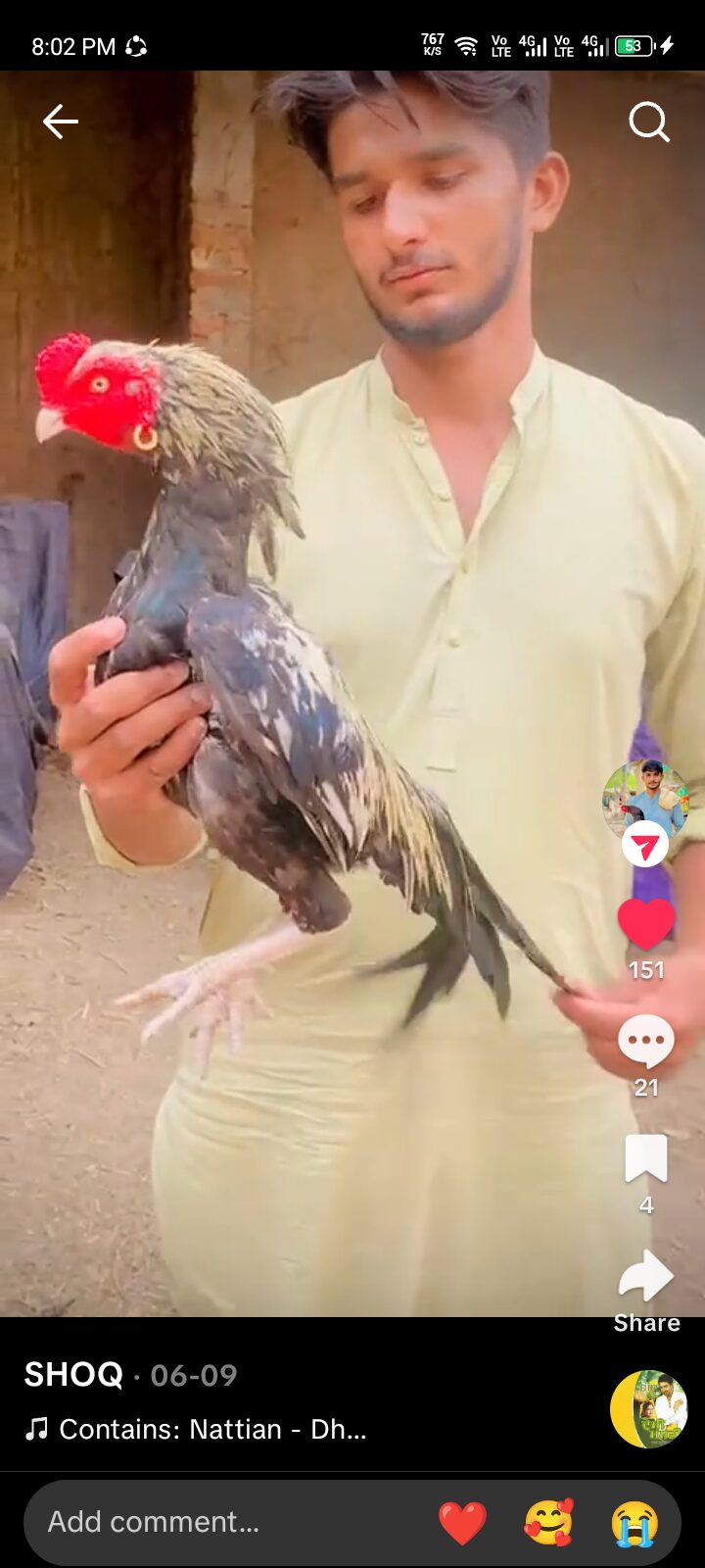 Mianwahli patha