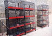 Birds cages