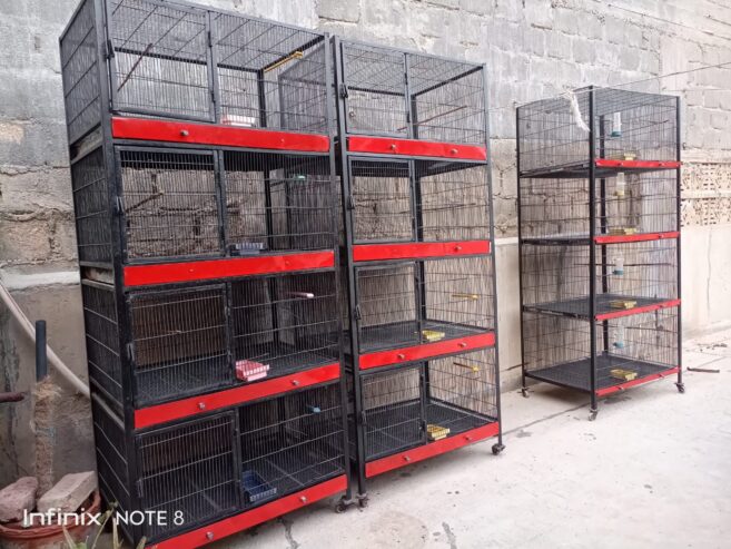Birds cages