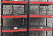 Birds cages