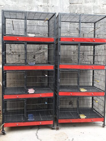 Birds cages
