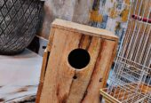 Fancy Parrots Cage